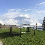 شاليه Alexia *